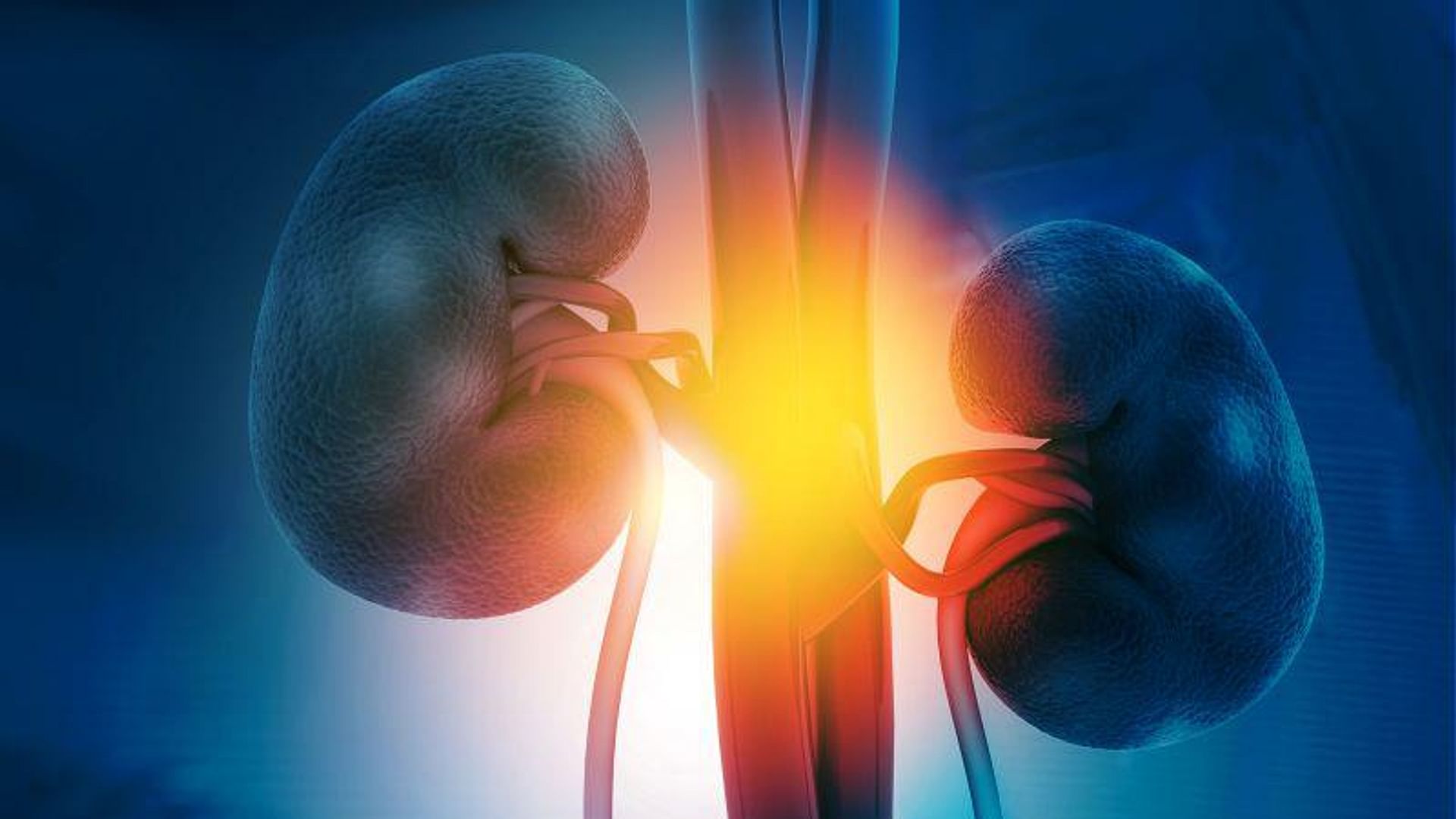 survival-improved-with-everolimus-in-high-risk-clear-cell-renal-cancer