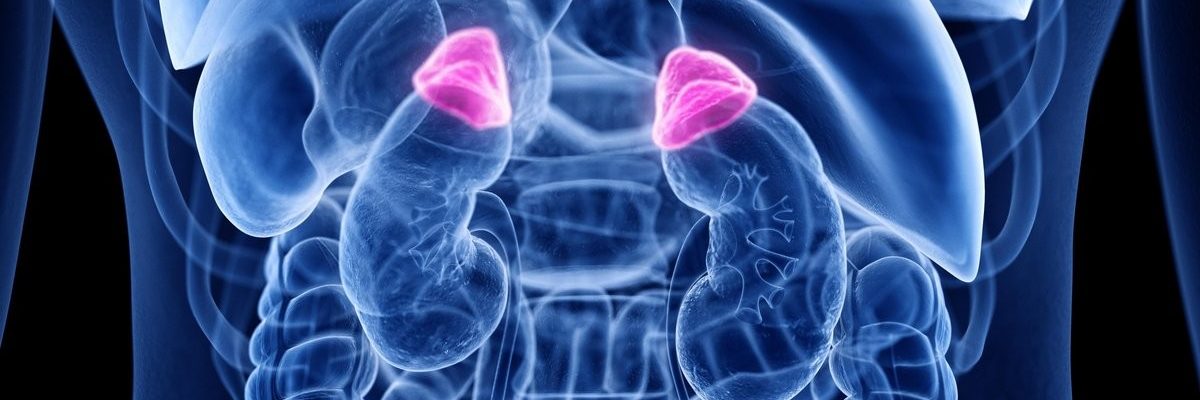 Crinecerfont Significantly Reduces Glucocorticoid Doses in Adults With Congenital Adrenal Hyperplasia